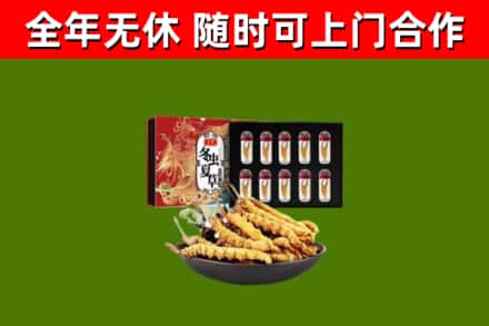 良庆回收冬虫夏草价格