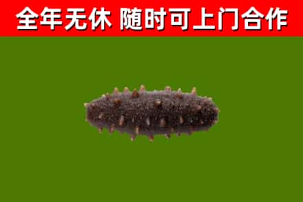 良庆烟酒回收干海参.jpg